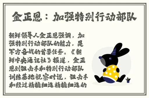 欧美精品黑色蕾丝连衣裙